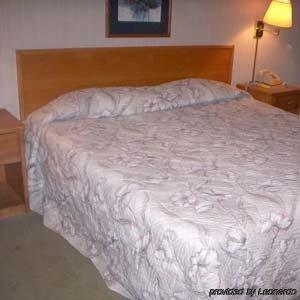 Princess Motel Maryville Bilik gambar